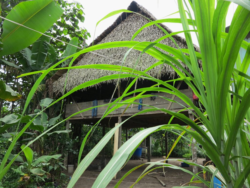 IMG_5507
